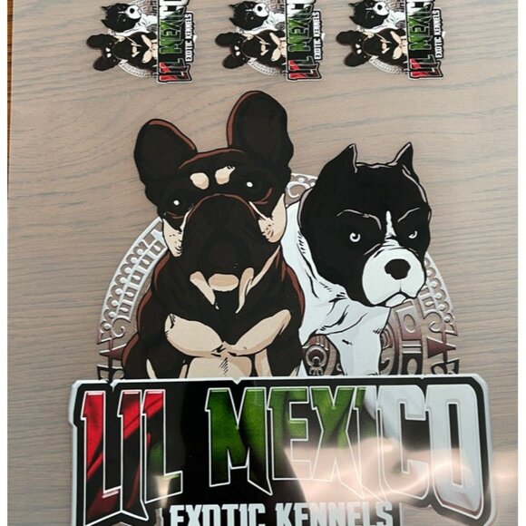 Custom Personalized DTF Transfer, T-shirt Transfers, Ready to Press Transfers - Picture 4 of 10